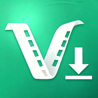 Video Downloader & Story Saver