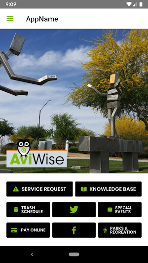 AviWise Screenshot 2