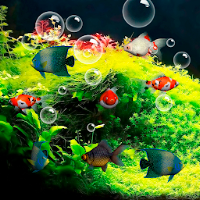 Aquarium Live Wallpaper