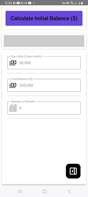 Burn Rate Calculator Screenshot 2