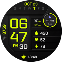 PIXEL INSTINCT 3 Watch Face