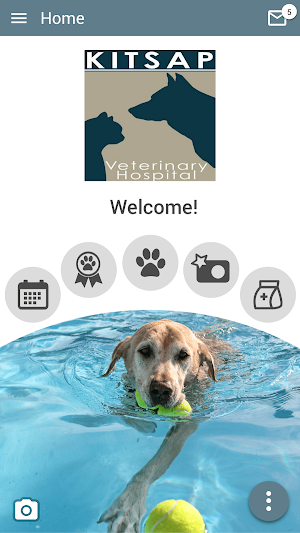 Kitsap Vet Screenshot 0