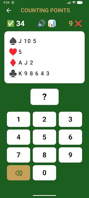 Bridge Begin: Card Game Screenshot 1