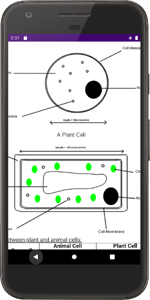 Zimsec Biology Revision Screenshot 1