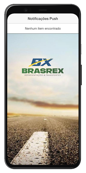 BRASREX Screenshot 2