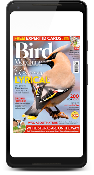Bird Watching Magazine Screenshot 0