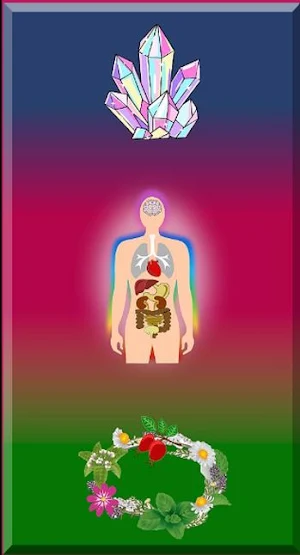 Herbs and minerals for health Screenshot 0