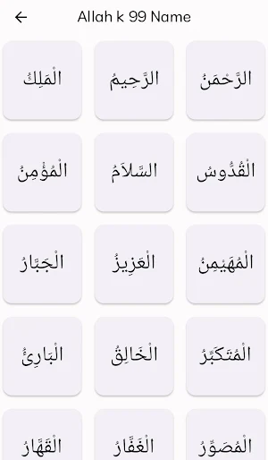 IslamicName Screenshot 3