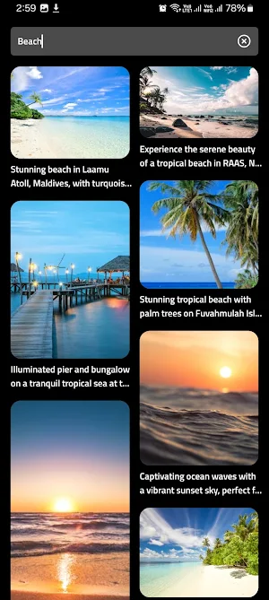 Visual Vista: HD Wallpapers Screenshot 1