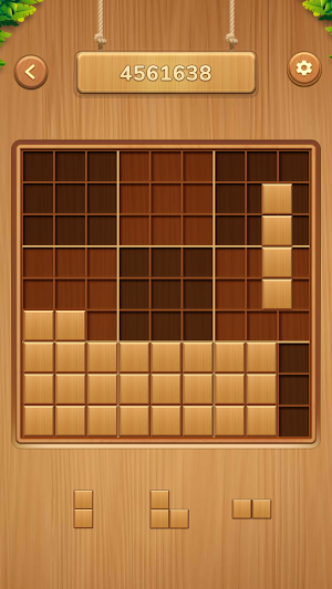 Sudoblock - Woody Block Puzzle Screenshot 3
