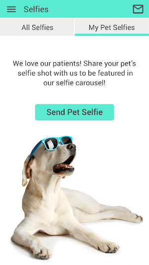 Blaine Central Vet Screenshot 1
