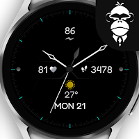 Elegant Analog Watch Face