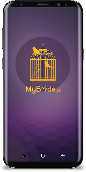 My Birds Screenshot 0
