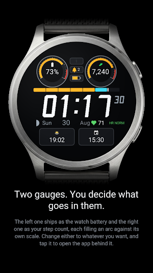 Chicane Dashboard Watch Face Screenshot 0