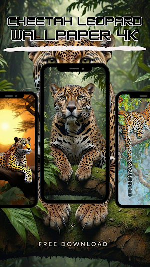 Cheetah Leopard Wallpaper 4K Screenshot 2