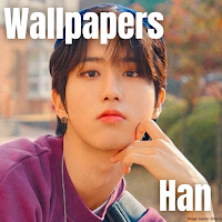 Stray Kids Han Wallpaper
