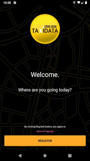 Taxidata Screenshot 0