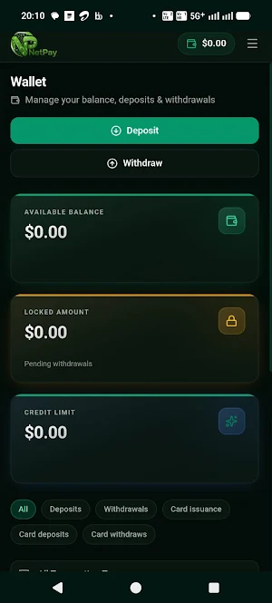 NetPay Global Screenshot 2
