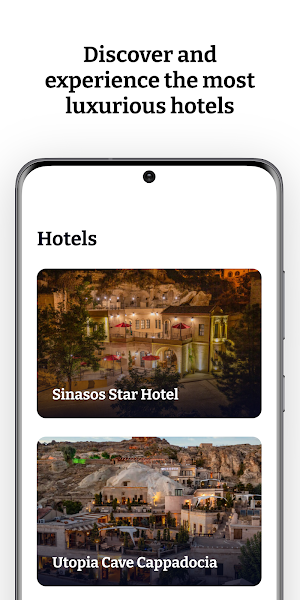 Times Travel Screenshot 3