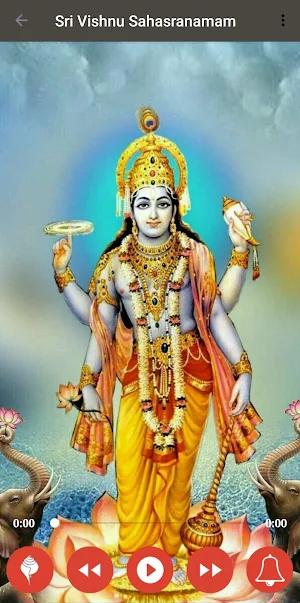 Vishnu Sahasranamam Fast Screenshot 1