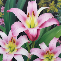 Flowers Wallpapers HD 4K
