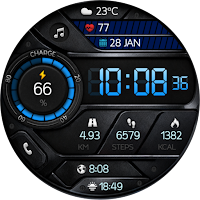 OBSERVER WS01 Watch face