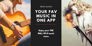 The Bull 101.9 Screenshot 0