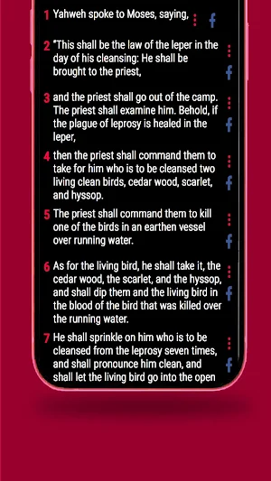 Holy Bible in English Screenshot 3