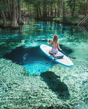 Florida Wallpaper HD Screenshot 3