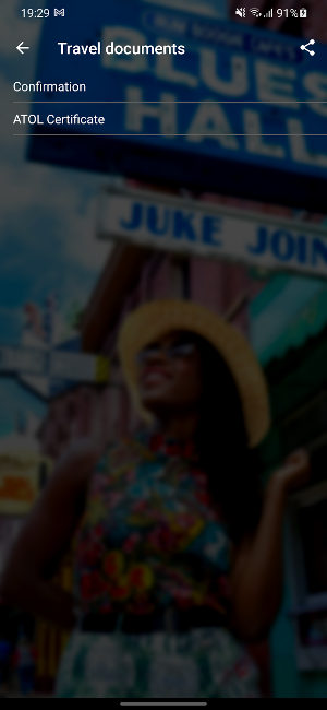 Bon Voyage Travel Screenshot 3