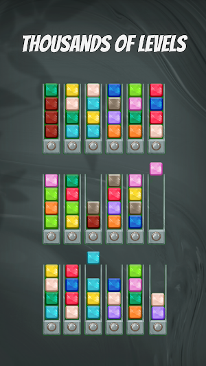 Block Sort Puz: Color Sorting Screenshot 1