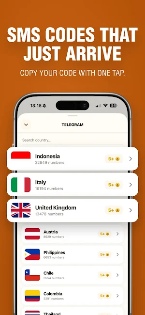 SMSCity Virtual Number Screenshot 2
