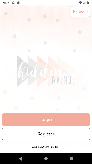 Hidden Avenue Screenshot 0