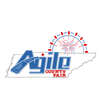 Agile Fair