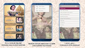 Campursari Sholawat Jawa MP3 Screenshot 3