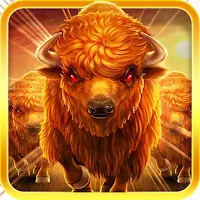 Buffalo Charge