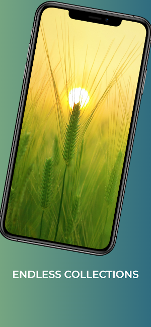 Nature wallpaper-4k Background Screenshot 2