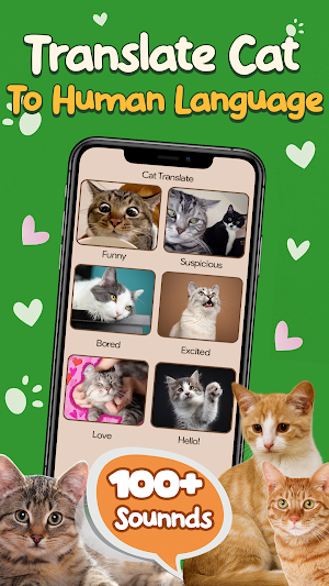Human to cat translator Screenshot 1