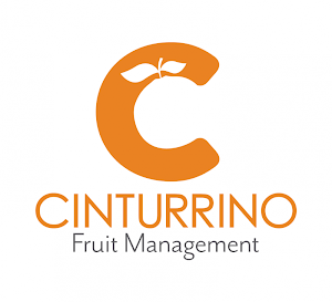 Cinturrino Screenshot 0