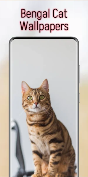Bengal Cat Wallpapers Screenshot 3