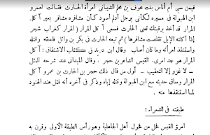 المعلقات العشر وأخبار شعرائها Screenshot 1