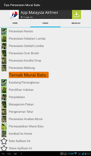 Tips Perawatan Burung Murai Batu Screenshot 2