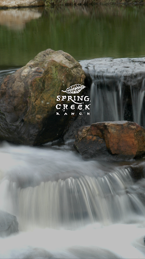 Spring Creek Ranch Screenshot 0