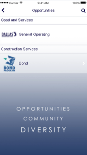 Dallas MWBE Screenshot 2