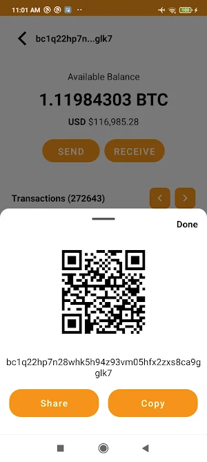 Satoshi Wallet Screenshot 2
