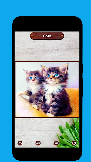 Cat Picture Making Puzzle Screenshot 2