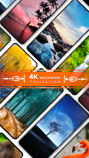 Nature Wallpapers HD Screenshot 0