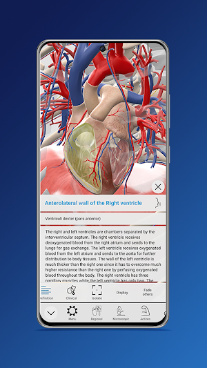 Everyday Anatomy Screenshot 1