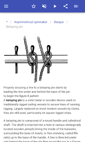 Sail and rigging Screenshot 3