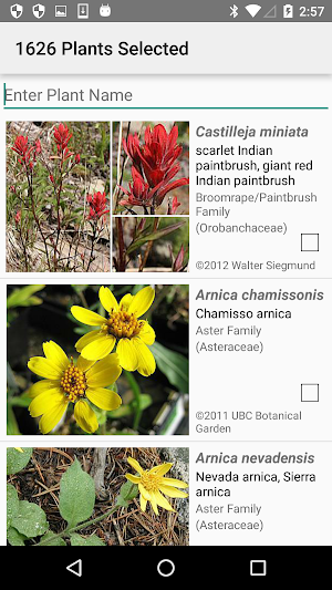 Central California Wildflowers Screenshot 2
